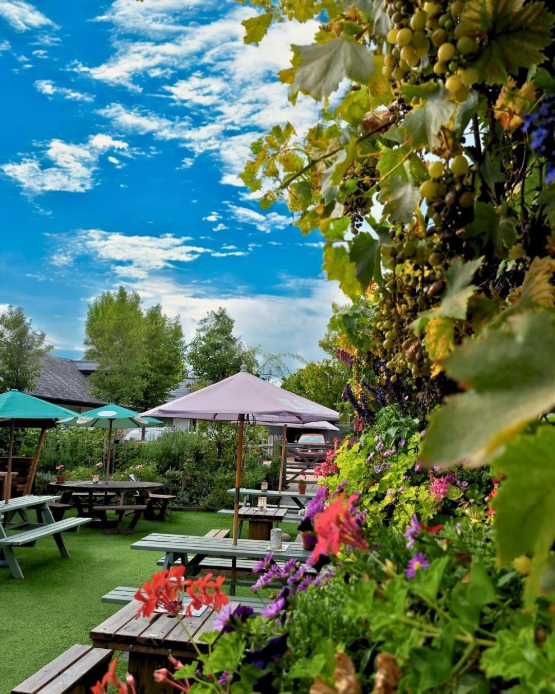 The Inn West End Вокінг Екстер'єр фото